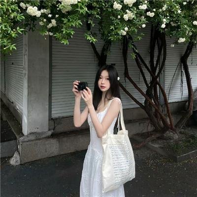 廿载风流梦