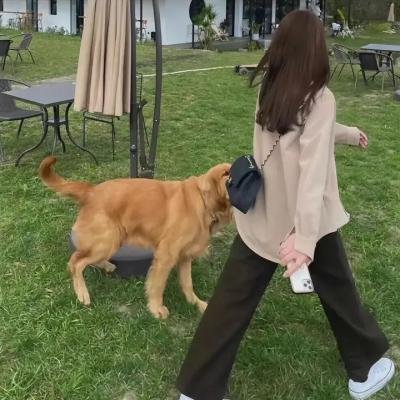 亚马逊萌猴奇遇记