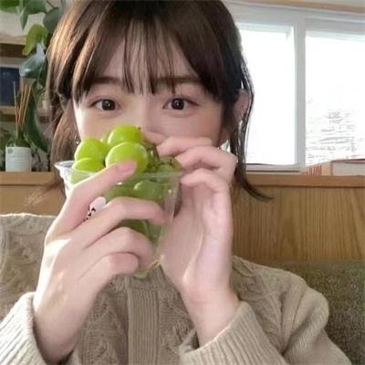 没人瞭波斯猫
